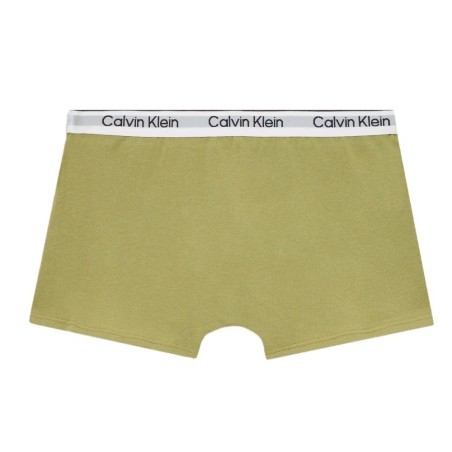 Lot de deux Boxers Vert Garçon Calvin Klein Jeans B70B700506