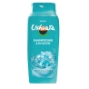 Gel Douche et Shampooing Ushuaia 300+100ml Minéraux Marins DCHMINMAR