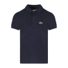Polo Marine Garçon Lacoste PJ2909