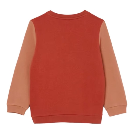 Sweat Beige/Marron Garçon Lacoste Block Fleece