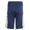 Short Marine/Blanc/Jaune Garçon Adidas IN2118