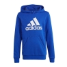 Sweat à Capuche Bleu Garçon Adidas Hoodie