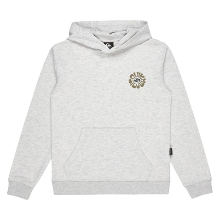 Sweat à Capuche Gris chiné Garçon Quiksilver Fineline