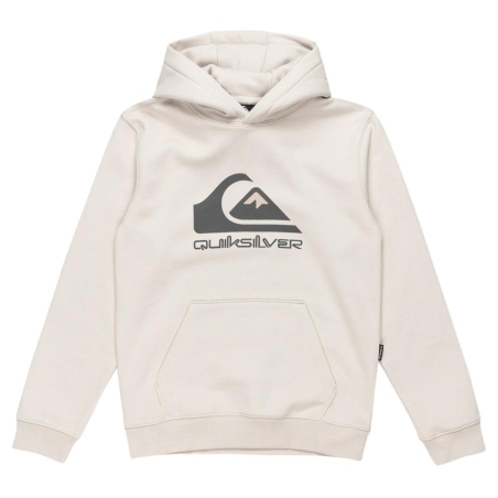 Sweat à Capuche Gris Garçon Quiksilver Big logo