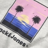 Sweat Gris Garçon Jack and Jones Hood