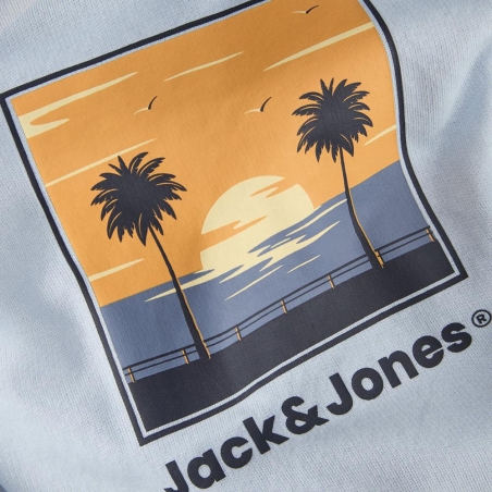Sweat Bleu Clair Garçon Jack and Jones Hood