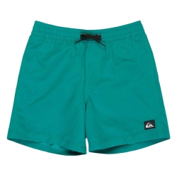 Short de bain Vert Garçon Quiksilver Everyday