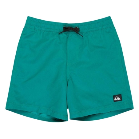 Short de bain Vert Garçon Quiksilver Everyday