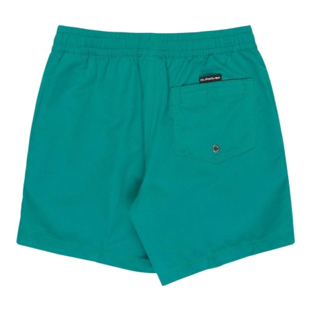 Short de bain Vert Garçon Quiksilver Everyday