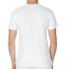 T-shirt Blanc Homme Sergio Tacchini 103