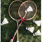 Badminton